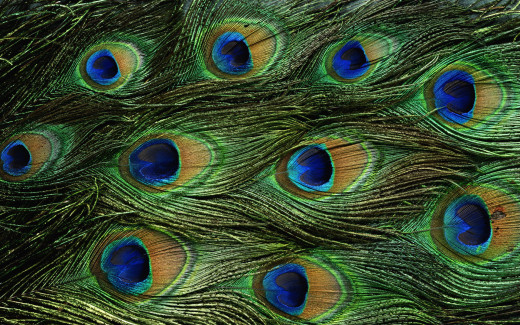 448847 (a): :1920x1200